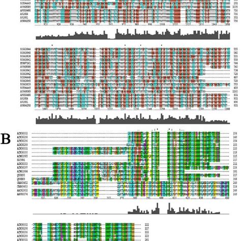 Proposed methodology for the identification of antifreeze proteins in ...