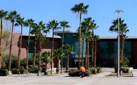 Uadec Torreón Trabaja En Actualización De Planes De Estudio Cuáles