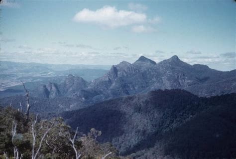 Scenic Rim Regional Council | Queensland Places