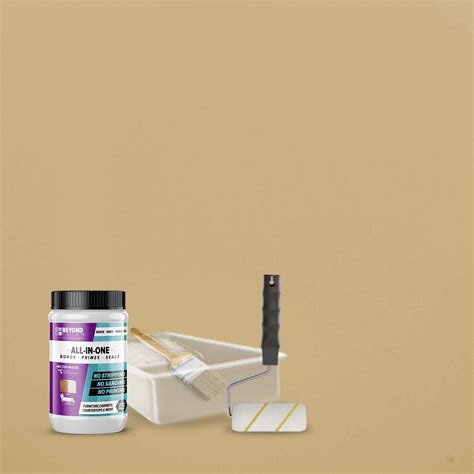 Beyond Paint All-In-One Refinishing Kit at Bradley Fredrick blog