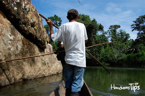 Qué actividades realizan los hombres y que actividades realizan las