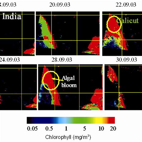 Rs P Ocm Derived Chlorophyll Images During The Algal Bloom Phases In