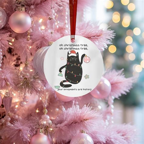 Hilarious Cat Ornament, Funny Cat Ornament, Cat Lover Gift, Funny Cat Lover Gift, Cat Lover ...