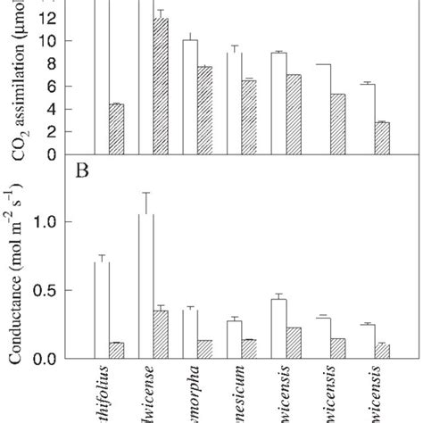 Maximum Net Co Assimilation A And Stomatal Conductance G In The