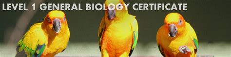 Level 1 General Biology Certificate | Basic Biology