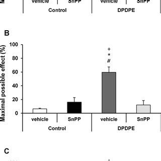 Effects Of Tin Protoporphyrin Ix Snpp Treatment On The Antiallodynic