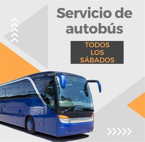 El Ayuntamiento ofrece un autobús gratuito a la juventud para acudir