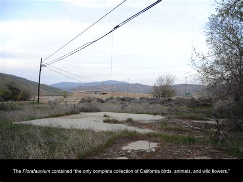 The Grapevine Highway 99 The Center For Land Use Interpretation