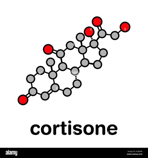 Molécula De La Hormona Del Estrés De La Cortisona Fórmula Esquelética