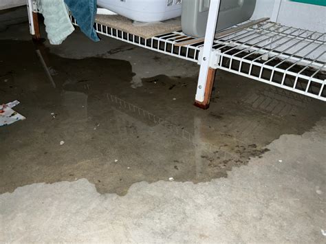 Why Your Basement Walls Leak | TerraFirma
