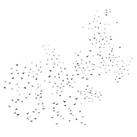 Premium Vector Sketch Drawing Of Silhouette Of A Flock Of Birds