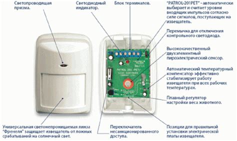 Уличные беспроводные датчики движения для сигнализации: принцип работы ...