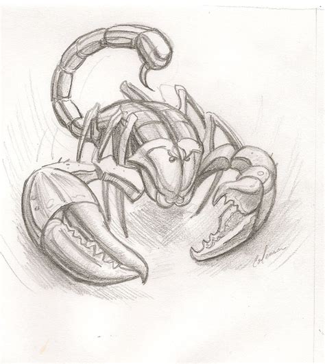 Scorpion Pencil Sketch at PaintingValley.com | Explore collection of Scorpion Pencil Sketch