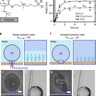 Polyzwitterionic Brushes And Water Film Stability A Dry And Wet