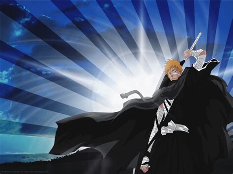 A soul reaper others Ichigo Kurosaki substitute soul reaper – Anime ...