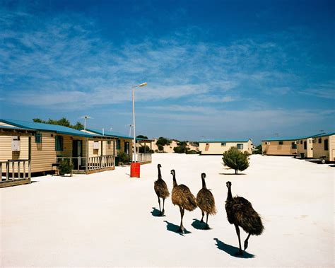 Shark Bay WA From The Series Welcome To Nowhere By Trent Parke MCA