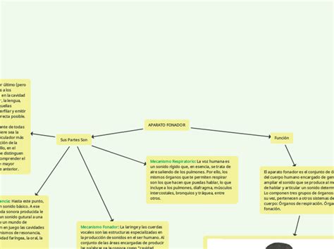 APARATO FONADOR Mind Map