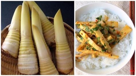 Bamboo Shoots And Its Magical Health Benefits Hindustan Times