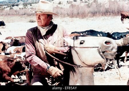 John Wayne / The Cowboys 1972 directed by Mark Rydell Stock Photo - Alamy