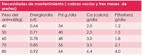 Agropecuarias Requerimientos Nutricionales De Diferentes Especies