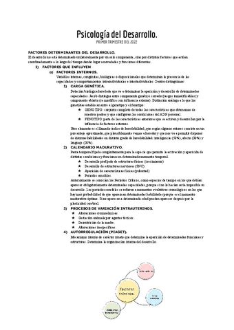 Psicologia Del Desarrollo Tema Pdf