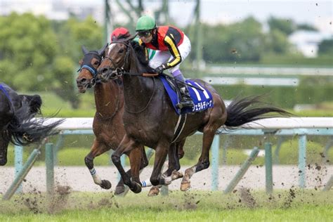 【香港国際競走】日本馬10頭が香港に到着ジェラルディーナなど 2023年11月30日掲載 ライブドアニュース