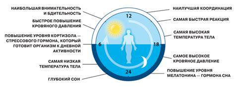 Кортизол - гормон стресса. Как нормализовать кортизол?