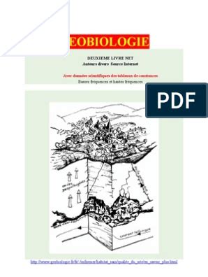 Mathématiques Classiques 11 8e 7e CM CM2 Morgenthaler Arithmétique La