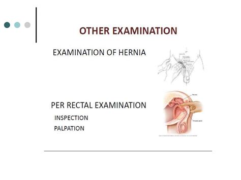 ASSESSMENT OF THE ABDOMEN, INSPECTION, AUSCULTATION, PERCUSSION