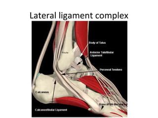 ankle ligament injuries derek park