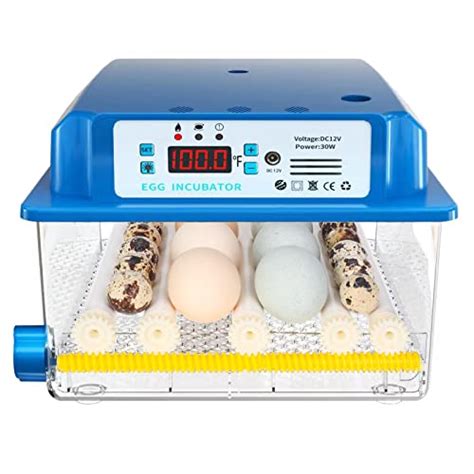 Top Incubator For Quail Eggs Of Katynel