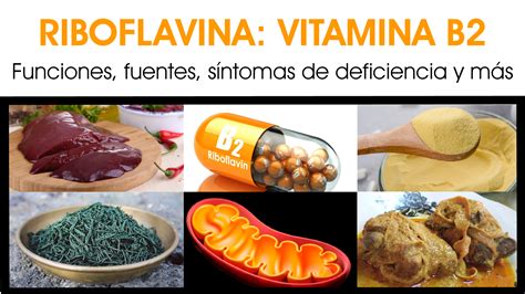 Riboflavina Vitamina B2 Salud Sin Tonterías