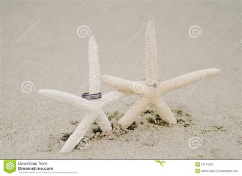 Starfish Wedding Rings Stock Image Image Of Sand Nature 37274635