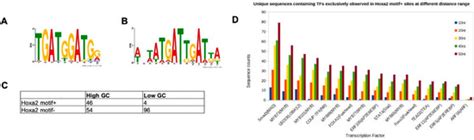 Jdb Special Issue Hox Genes In Development New Paradigms