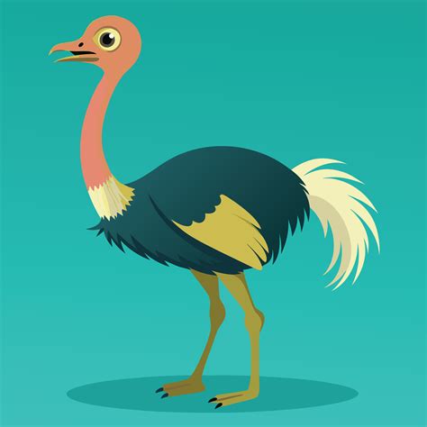 The Ostriches Bird 48054385 Vector Art At Vecteezy