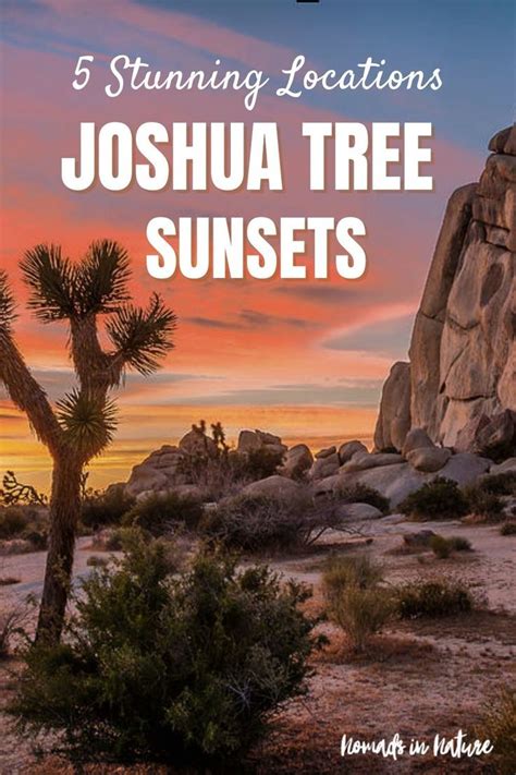 5 Epic Joshua Tree Sunset Spots Artofit