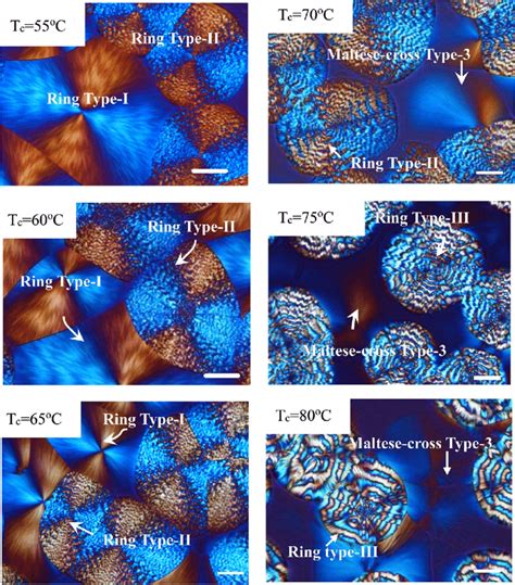 POM Micrographs Of Spherulite Morphology In Melt Crystallized PHepT At