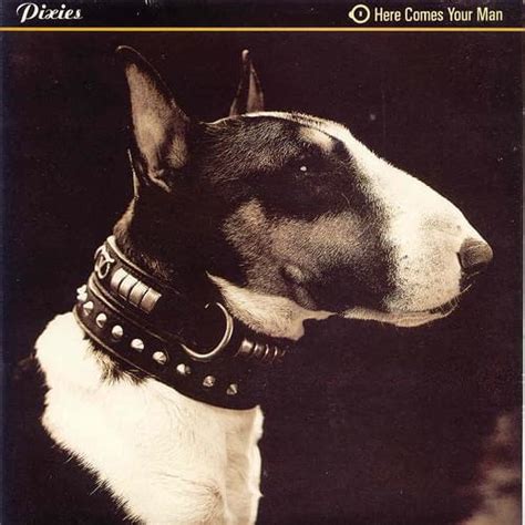 Pixies – Here Comes Your Man Lyrics | Genius Lyrics