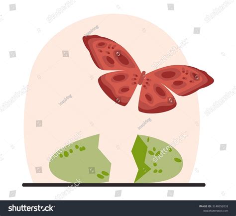 transforming concept transformation metaphor changing evolution stock