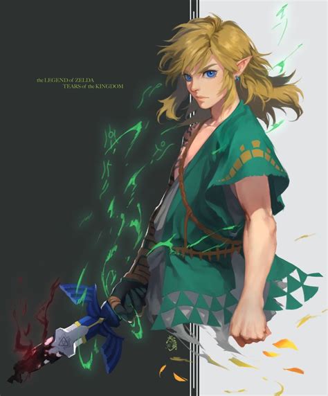 Shiyu On X Legend Of Zelda Legend Of Zelda Breath Zelda Art