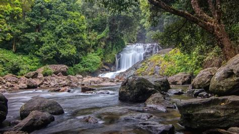 Complete Guide to Trekking at Anamudi Peak-The Everest of South India | GB