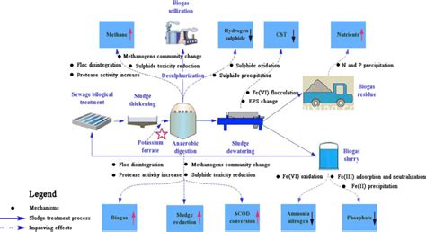 Mechanisms Of Enhancing Sludge Anaerobic Digestion Process By Adding