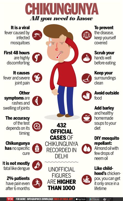 Infographic Chikungunya All You Need To Know Times Of India