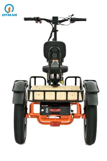 Jinhua Otmar Saddle Removable Fast Food Delivery 3 Wheel Electric Cargo