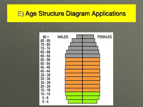 What Is An Age Structure Diagram Age Structure Diagram Types