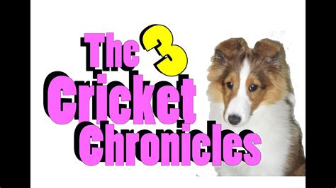 The Cricket Chronicles Play Time E3 Youtube