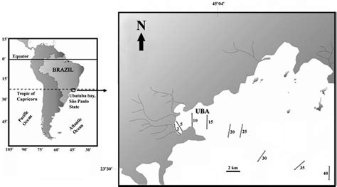 Map of the Ubatuba (UBA) region. | Download Scientific Diagram