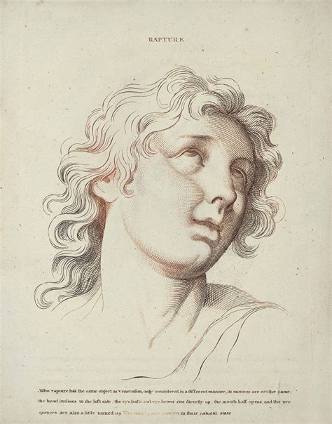 Le Brun Charles Heads Representing The Various Passions