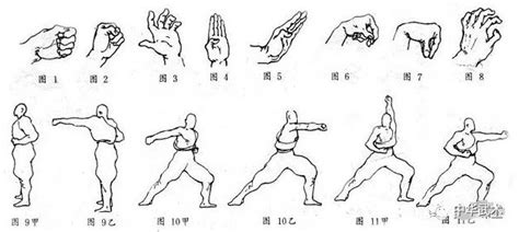 少林拳基本功和基本动作