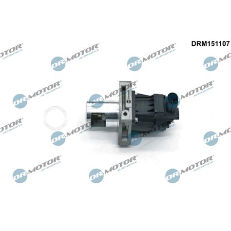 EGR Ventil Dr Motor Automotive DRM151107 Eurodel No